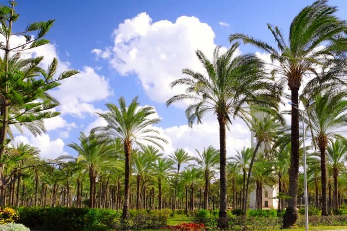 Montazah Palace and Royal Gardens in Alexandria, Egypt