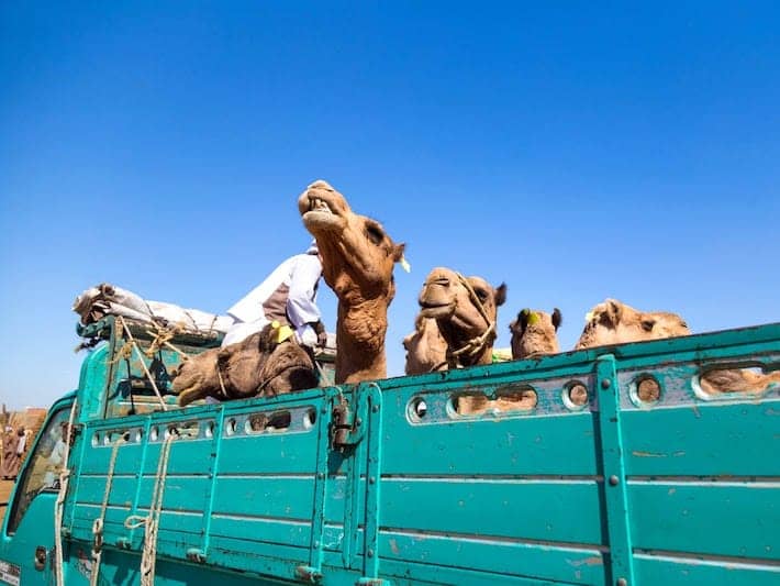 egypt cairo tours