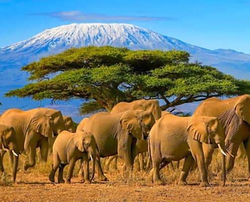 Egypt And Kenya Tour