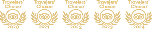 Reviews - NileCruiseHolidays Tripadvisor Travelers Choice 500 2